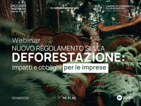 Riforma deforestazione, impatti per le imprese, webinar bacciardi partners, immagine di alberi tagliati in un bosco