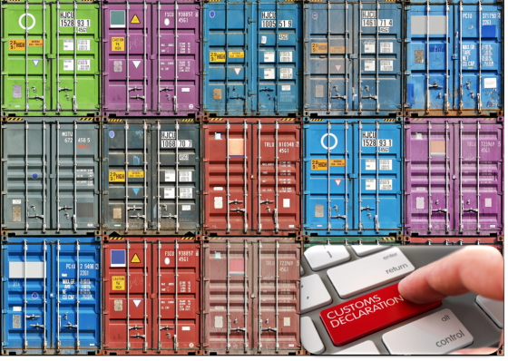 Digitalizzazione sistema doganale di importazione_Bacciardi