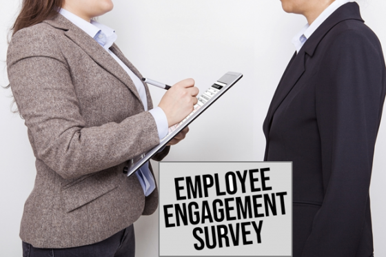 Engagement Survey: indagine sul coinvolgimento dei dipendenti